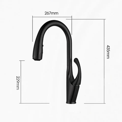 Robinet de cuisine moderne flexible avec douchette