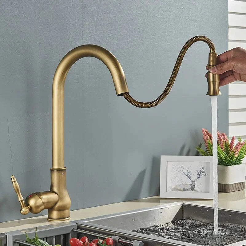 Robinet de cuisine rétro flexible et rétractable vintage