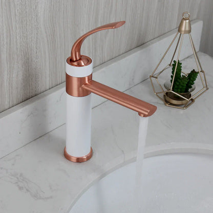 Robinet bicolore moderne pour lavabo de salle de bain